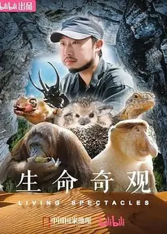 生命奇观
