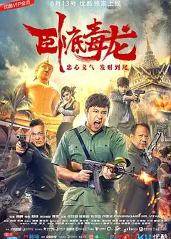 卧底毒龙