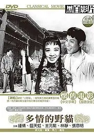 多情的野猫