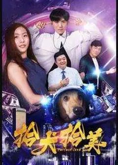 拾犬拾美