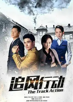 追风行动
