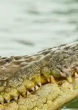 季风群岛第一季