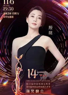 第31届中国电视金鹰奖颁奖典礼