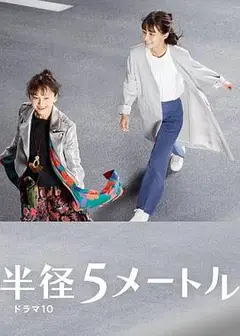半径5米