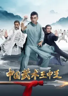 中国武术王中王