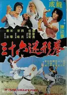 三十六迷形拳