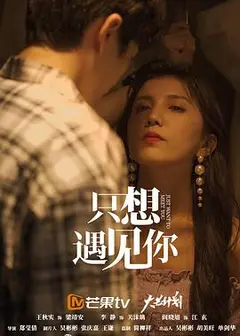 只想遇见你