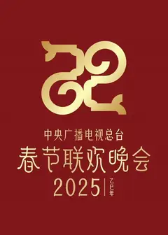 2025年中央电视台春节联欢晚会