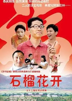石榴花开