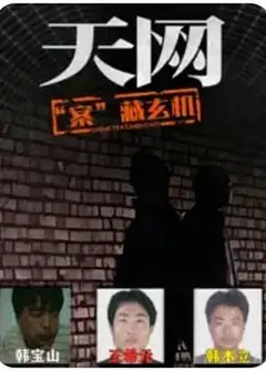 天网：“案”藏玄机