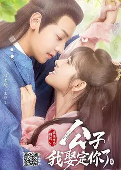 公子，我娶定你了2
