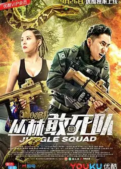 丛林敢死队