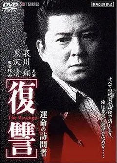 复仇：命运的访问者