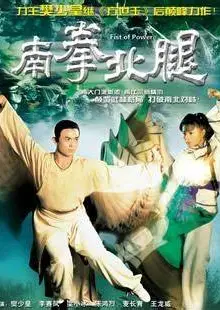 南拳北腿