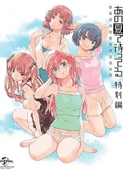在盛夏等待 特别篇