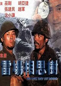 雷场相思树