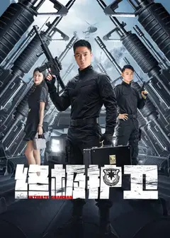 终极护卫