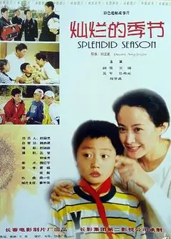 灿烂的季节
