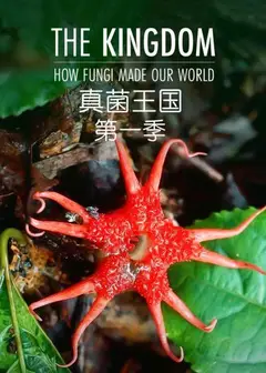 真菌王国第一季