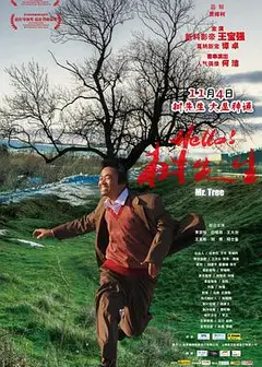 Hello！树先生