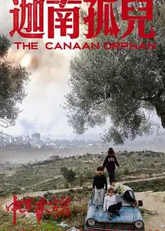 中东大宝荐2：迦南孤儿
