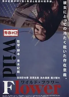 青春H2之狂野之花