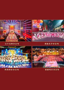 2024春晚分会场春节特别节目