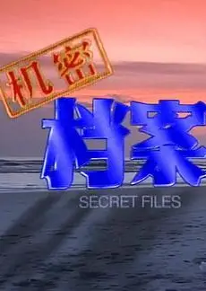 机密档案