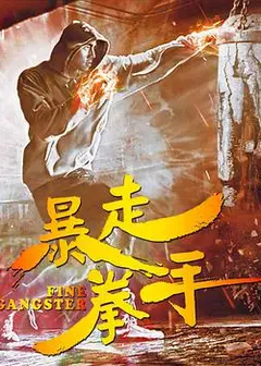 暴走拳手
