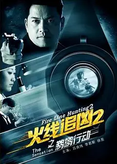 火线追凶2之鹈鹕行动