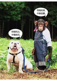 阿笨与阿占