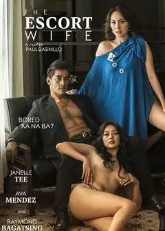 妻子的报复