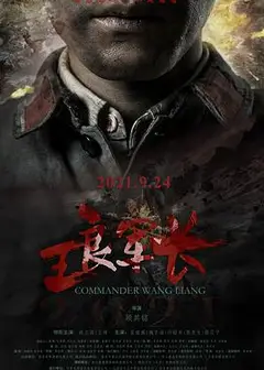 王良军长