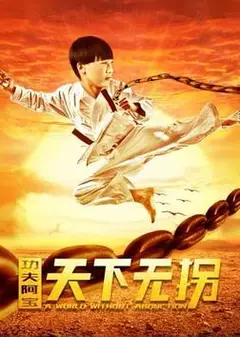 功夫阿宝：天下无拐