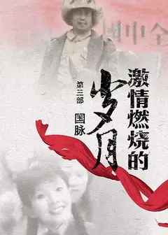 激情燃烧的岁月3