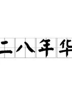 二八年华