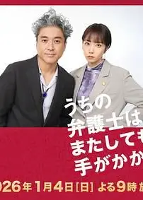 我家的律师又惹麻烦了特别篇