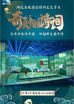 奇妙的诗词