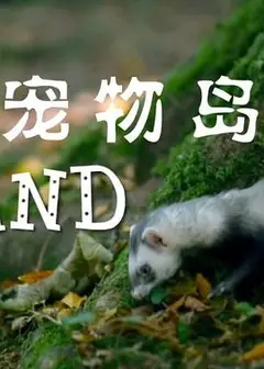 宠物岛