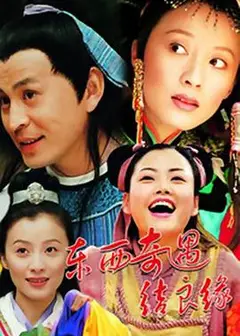 东西奇遇结良缘