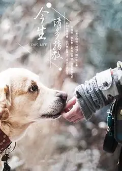 今生请多指教第三季