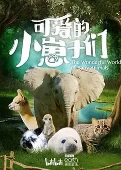 可爱的小崽子们 中文版