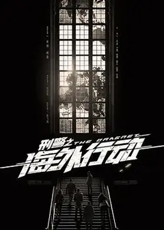刑警之海外行动