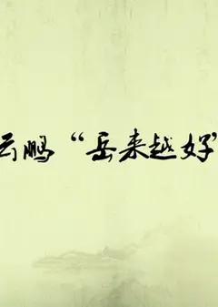 2016岳云鹏“岳来越好”天津专场