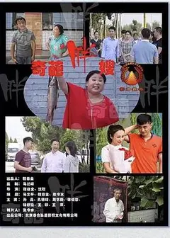 奇葩胖嫂