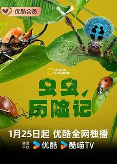虫虫历险记