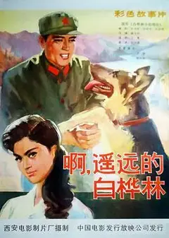 白桦林中的哨所