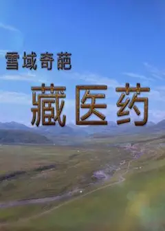 雪域奇葩藏医药