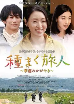 播种的旅人 华莲的光辉