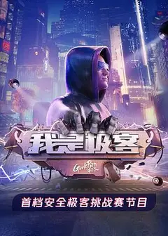 我是极客